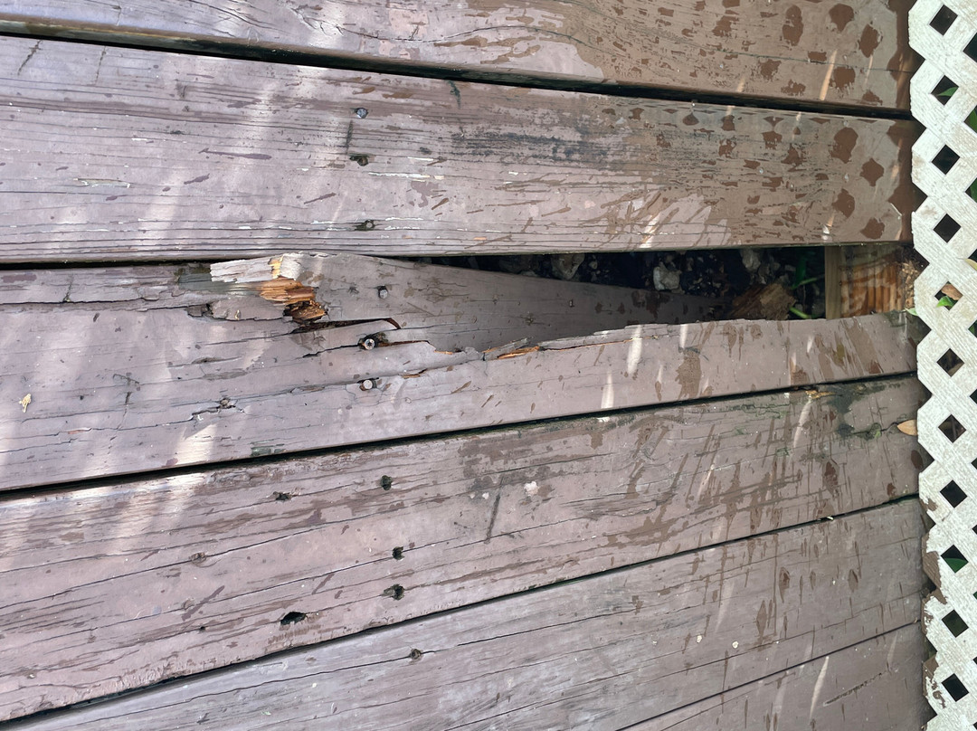 Hummingbird House主图