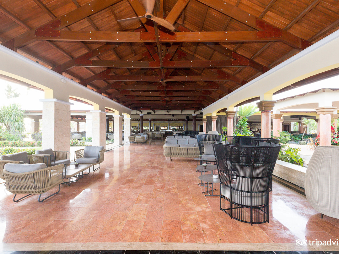 蓬塔卡纳豪华成人优选全包酒店