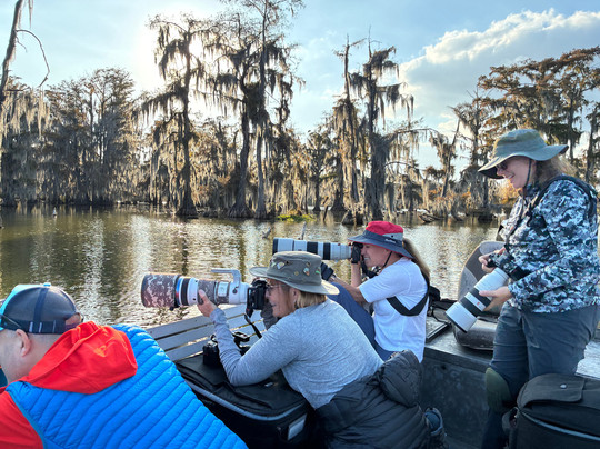 Louisiana Swamp Tours-布里奥克斯桥必去景点