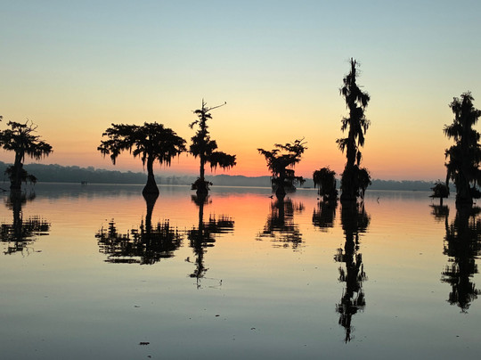 Louisiana Swamp Tours-布里奥克斯桥必去景点