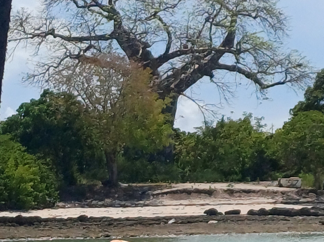 Blue - Green Zanzibar Tours and Safari-石头城必去景点
