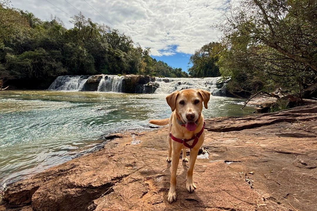 Cascata Herval do bairro São Miguel-Dois Irmaos必去景点
