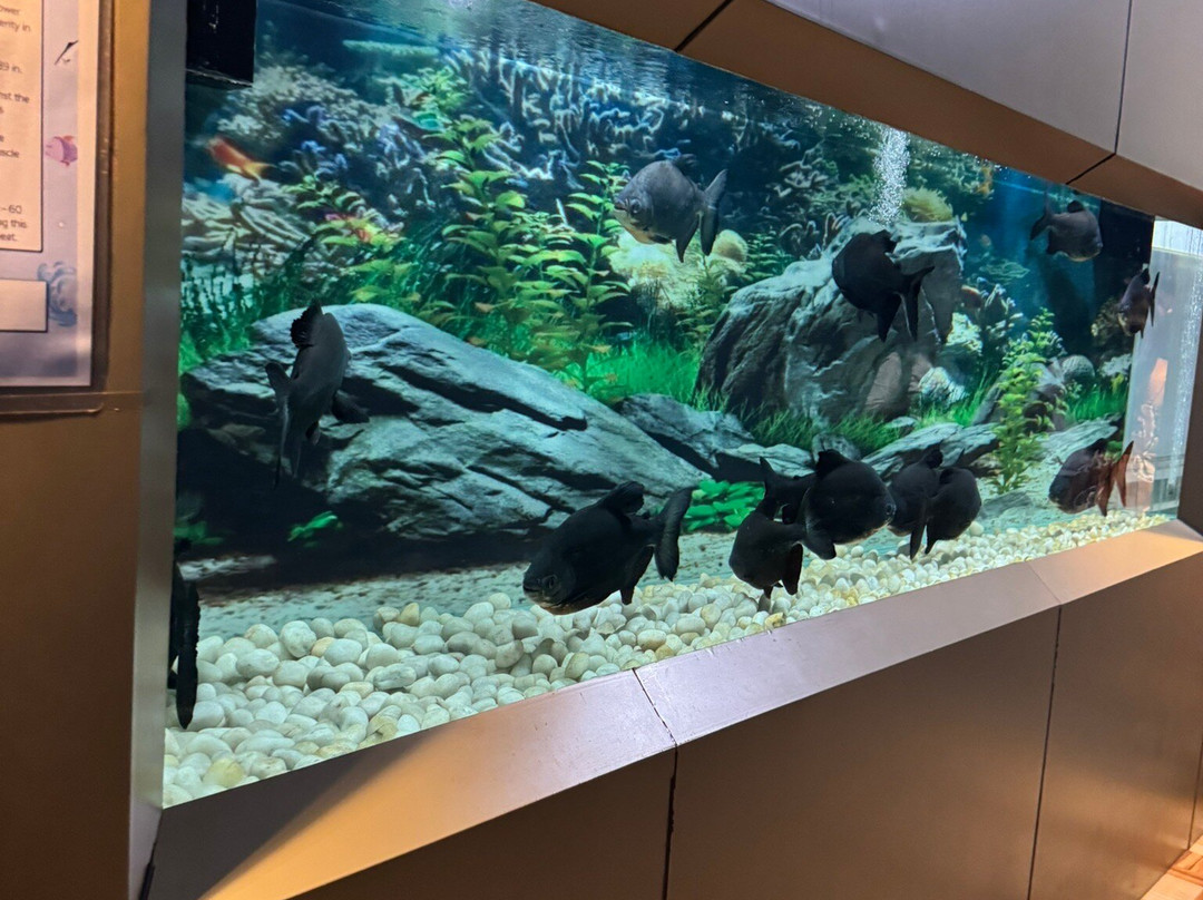 Benz Celebrity Wax Museum-加兰古特必去景点