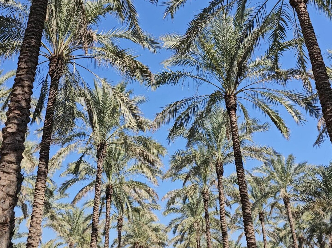 Bushehr Old City-Bushehr必去景点