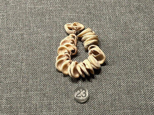 广西省博物馆-南宁市必去景点