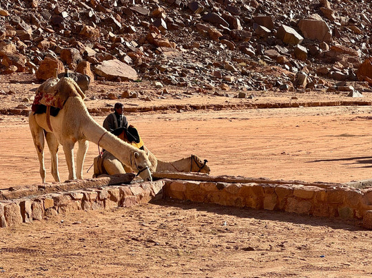 Lawrence's Spring-Wadi Rum Village必去景点