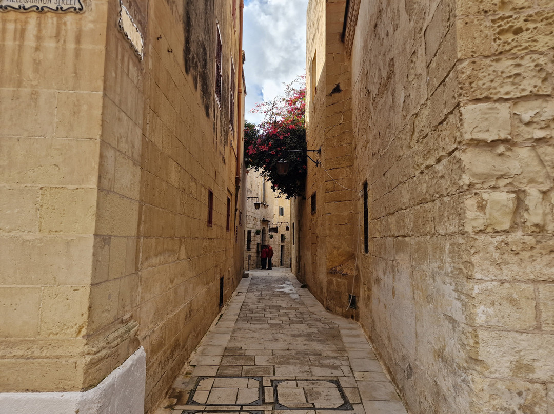 Palazzo Santa Sofia-姆迪纳必去景点