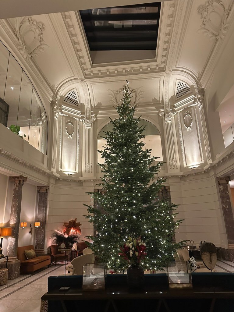 House Of Franq-官方