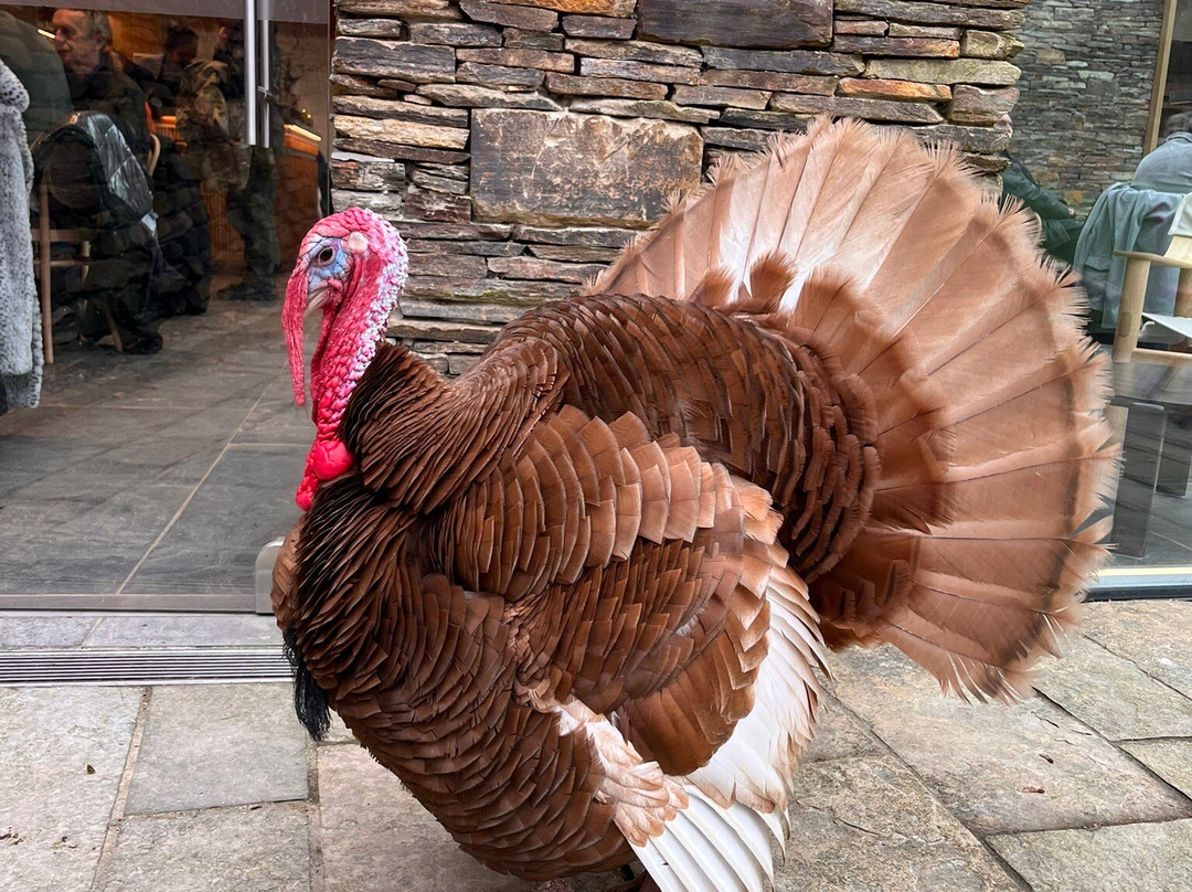 The Story Of Emily-null必去景点