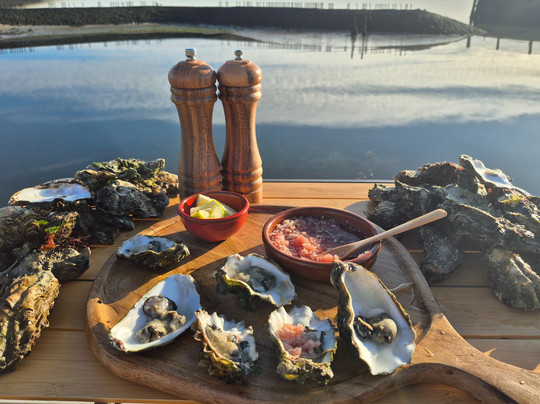 Zeeland guided tours