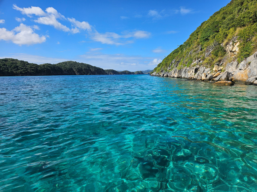 Local Mocean Charters-圣 托马斯必去景点