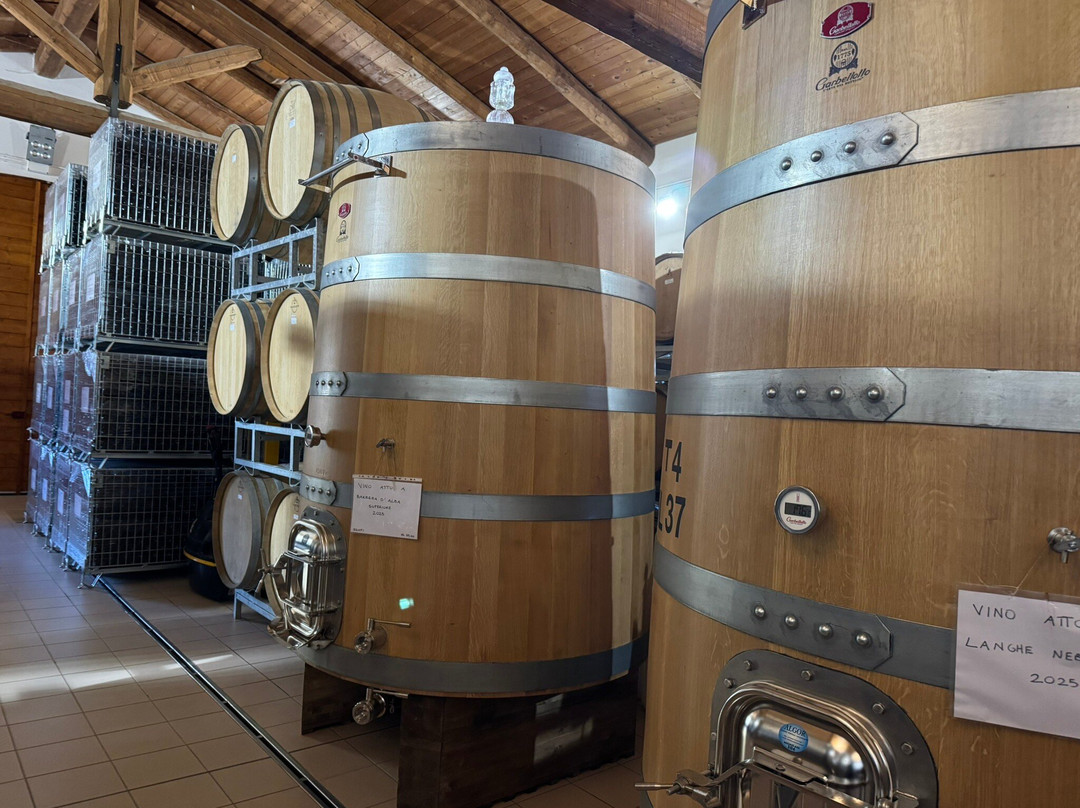 Cascina Sòt-蒙福特-达尔巴必去景点