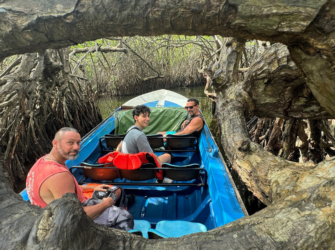 Tour Guide in Sri Lanka-尼甘布必去景点
