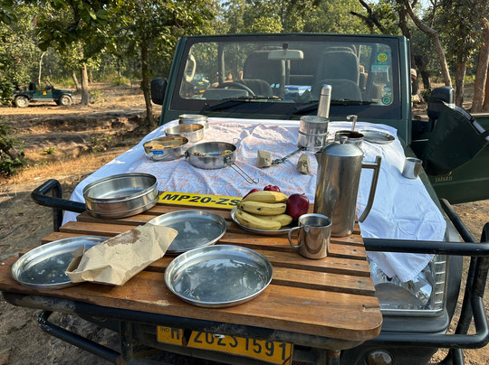 Mahua Kothi, A Taj Safari - Bandhavgarh National Park主图