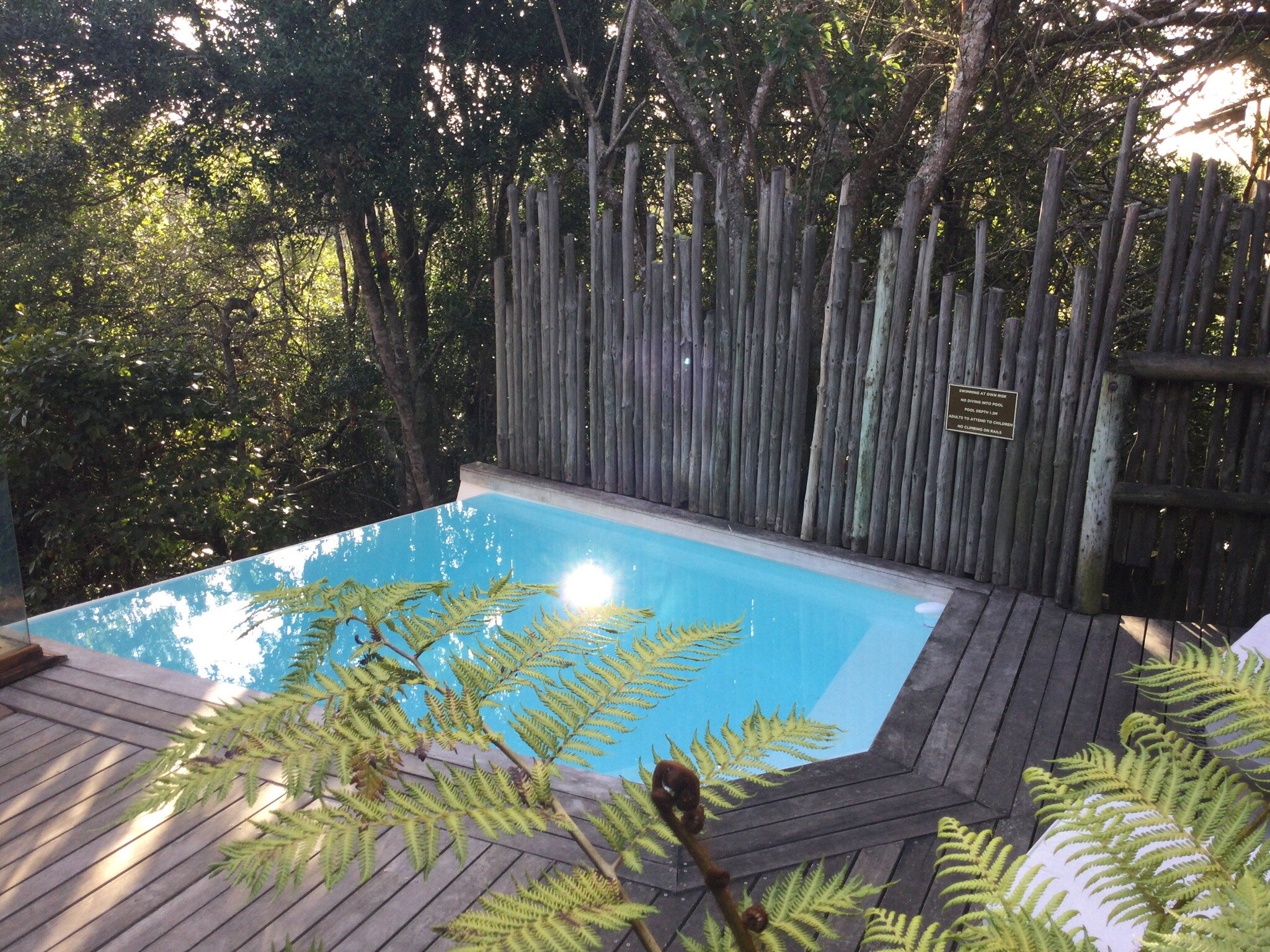 阿尔树杆洛奇-官方