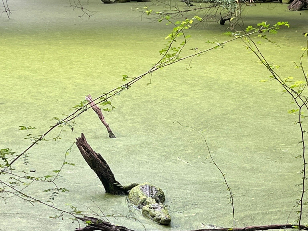 DANTA TOURS-Xpujil Town必去景点