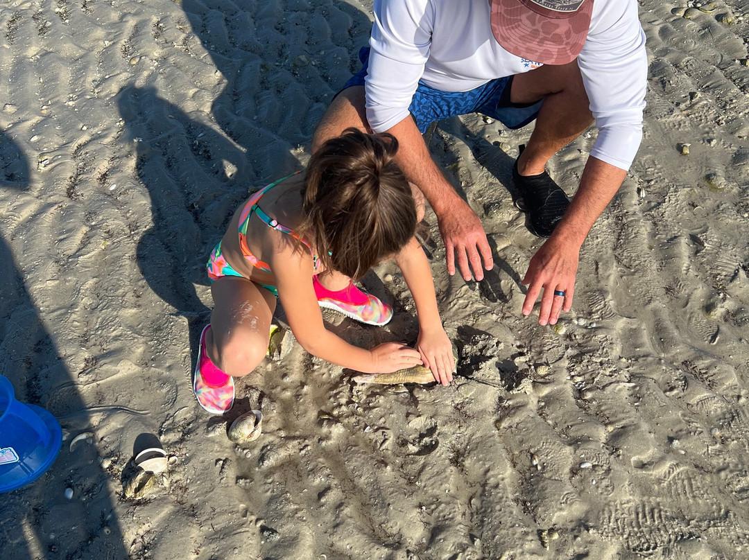 Sea N Things, LLC-Indian Shores必去景点