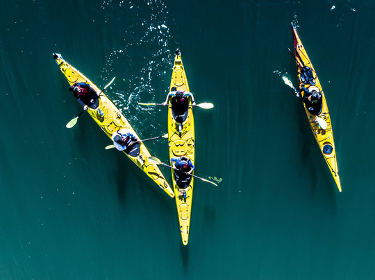 Fergs Kayaks Auckland-奥克兰中心地区必去景点