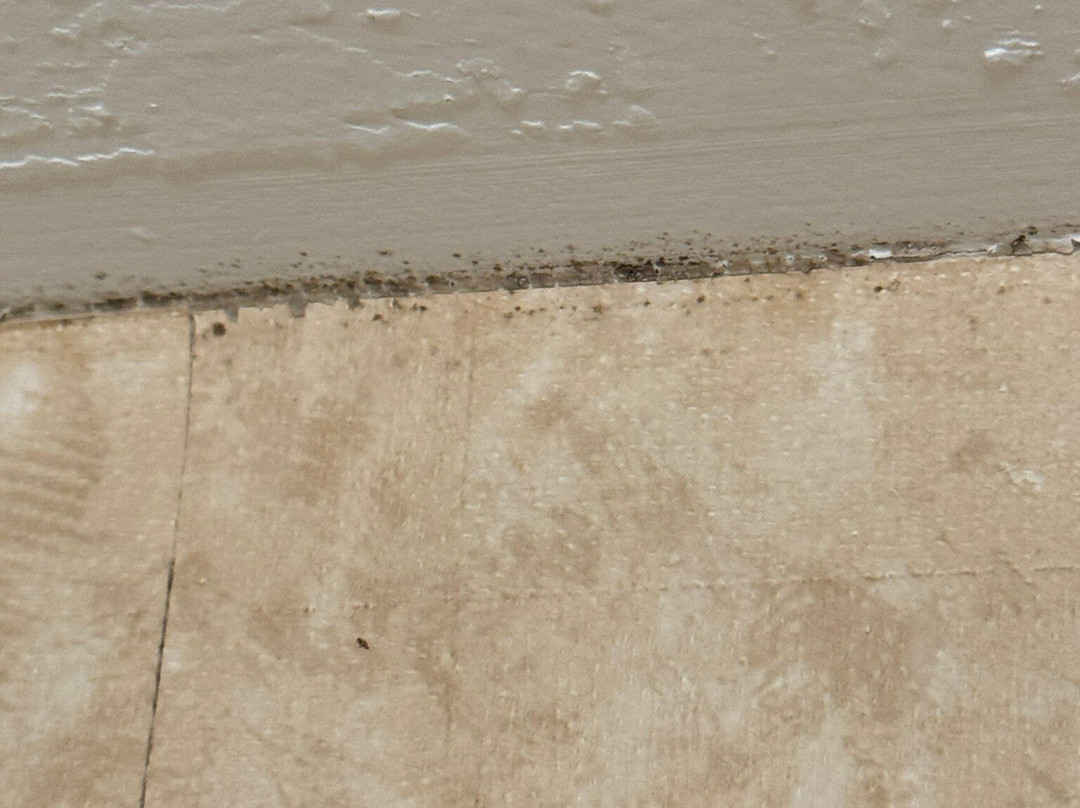 Holiday Inn Express & Suites Sioux Falls-brandon By IHG主图