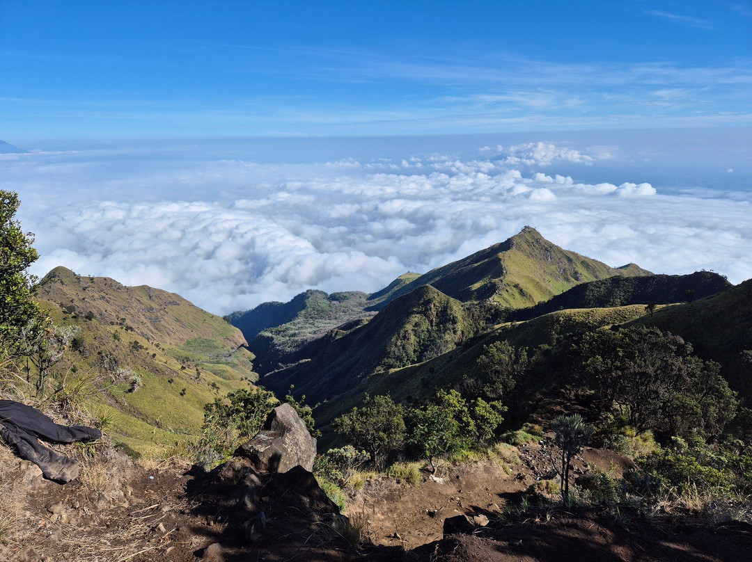 Mount Merbabu National Park-沙拉迪加必去景点