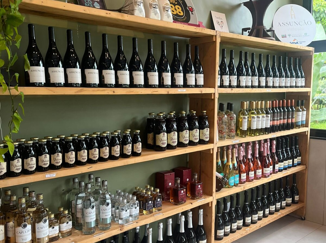 Vinícola Assunção-Pirenopolis必去景点