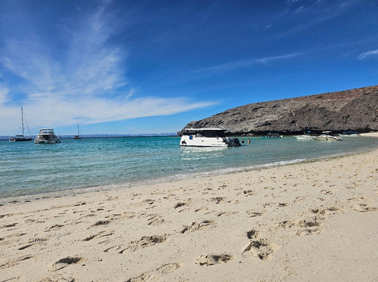 Punta Baja Tours-拉巴斯必去景点