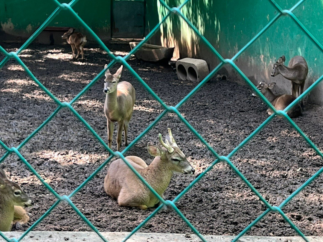 拉文塔博物馆公园-Villahermosa必去景点