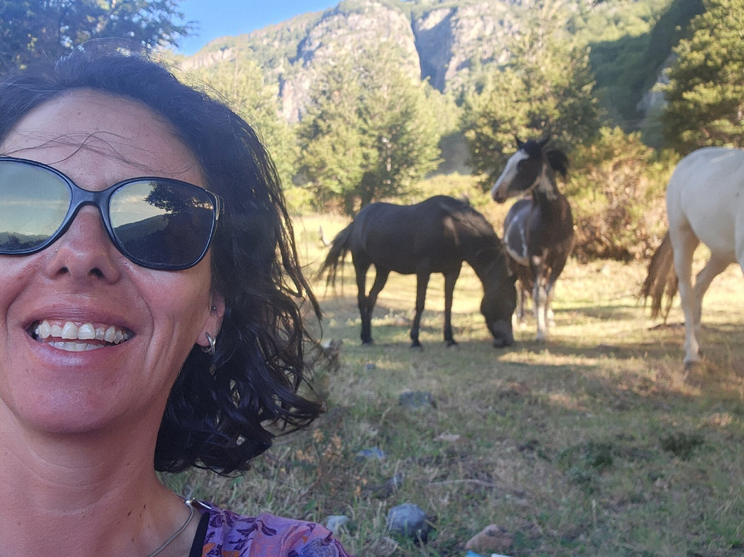 Carretera Austral Expediciones-Rio Ibanez必去景点