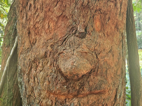 Good Guide In Rio-里约热内卢必去景点