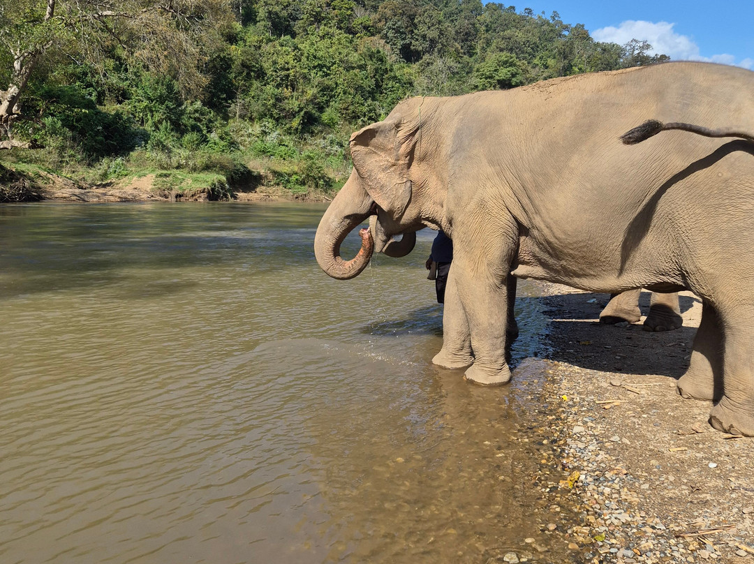 New Elephant Home-Kuet Chang必去景点