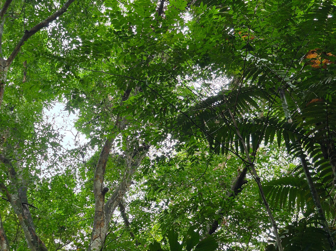 Reserva Natural El Cielo-Capurgana必去景点