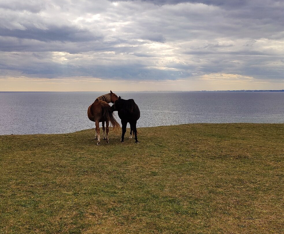 Ales Stenar-于斯塔德必去景点