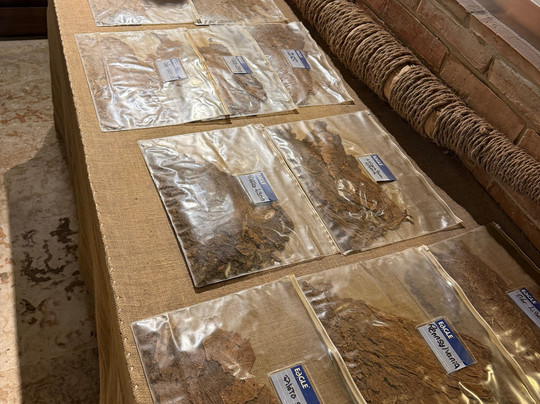 Cigar Country-拉罗马纳必去景点