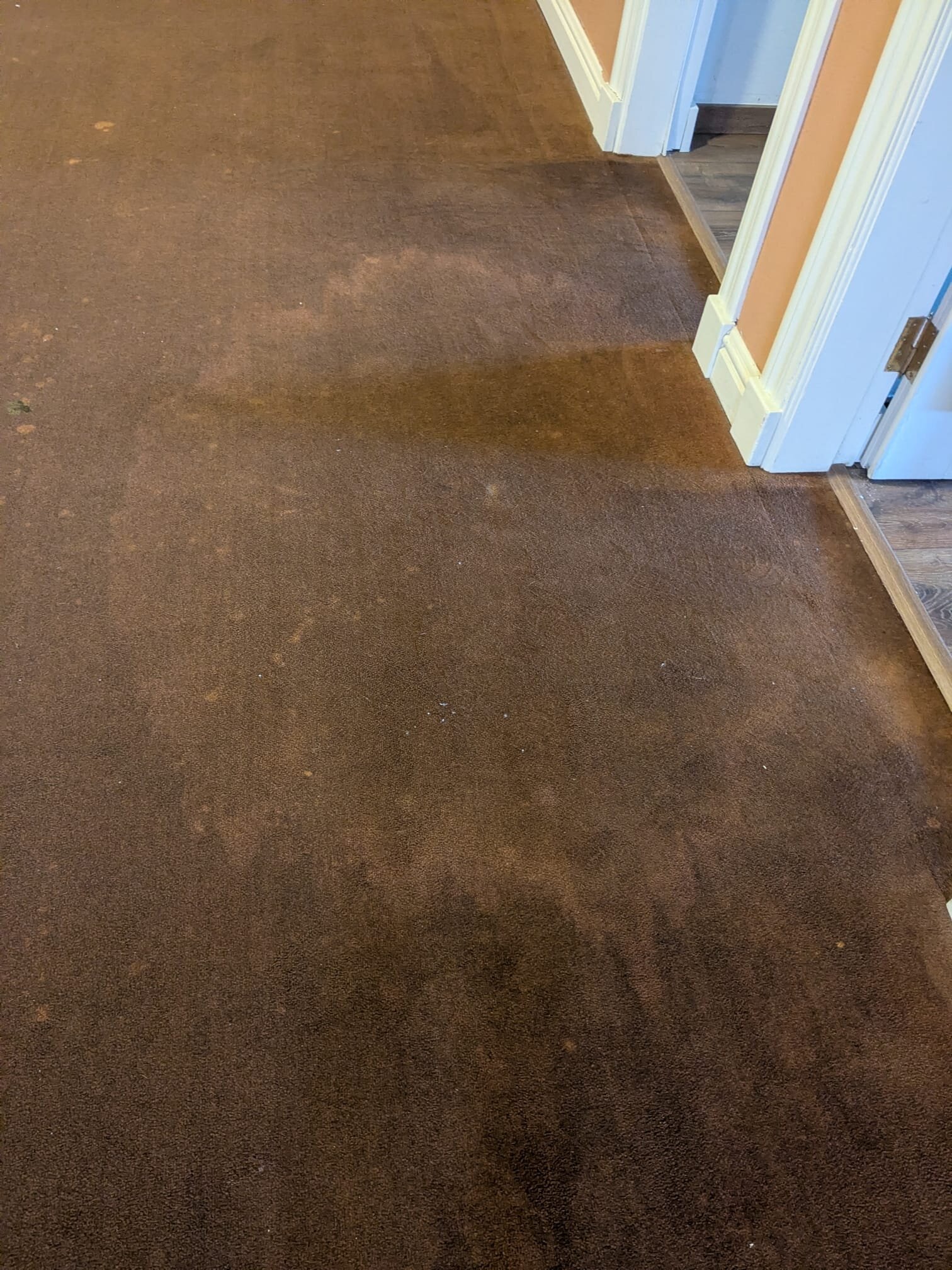 H10阿德赫海岸皇宫酒店-官方