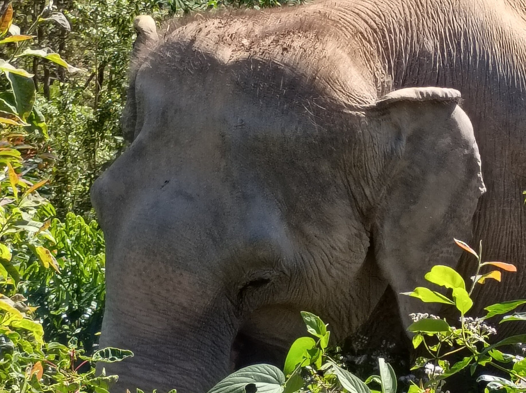 Chang Chill-Mae Win必去景点