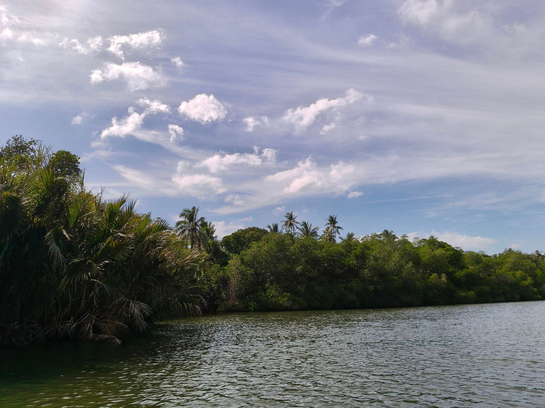 Tours For Sri Lanka-科伦坡必去景点