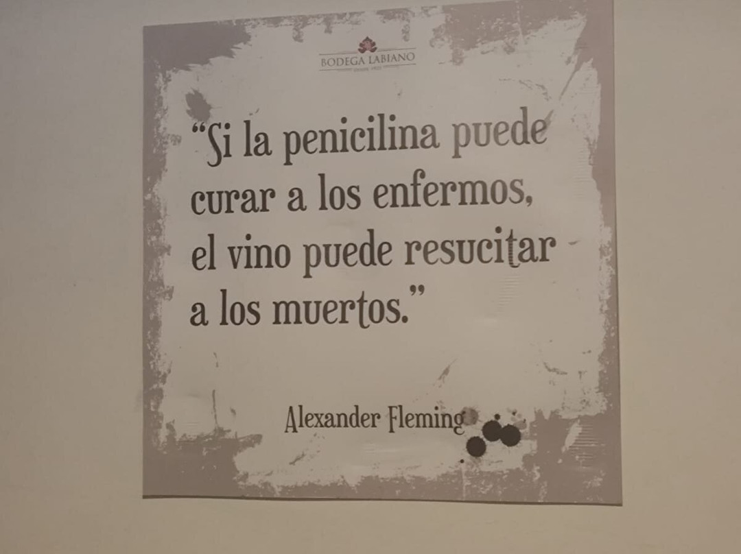 Bodega Labiano-圣拉斐尔必去景点