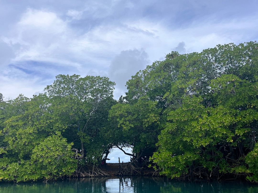 Privilèg'G-Le Francois必去景点