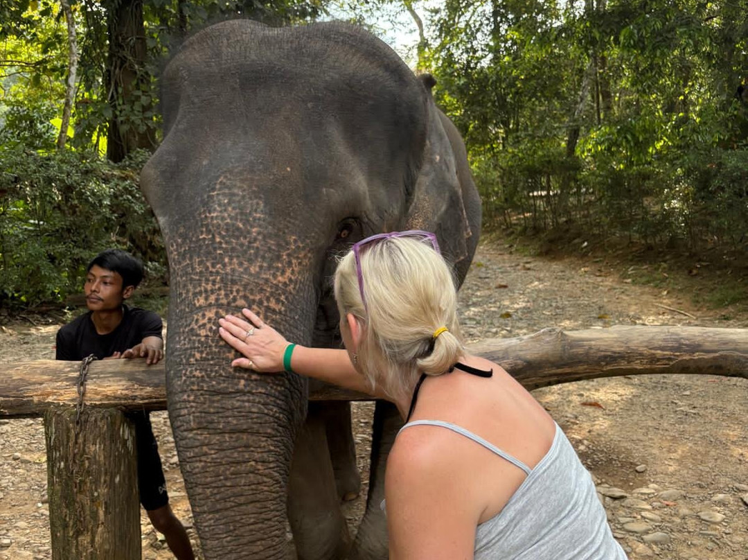 Phang Nga Elephant Park-攀牙必去景点