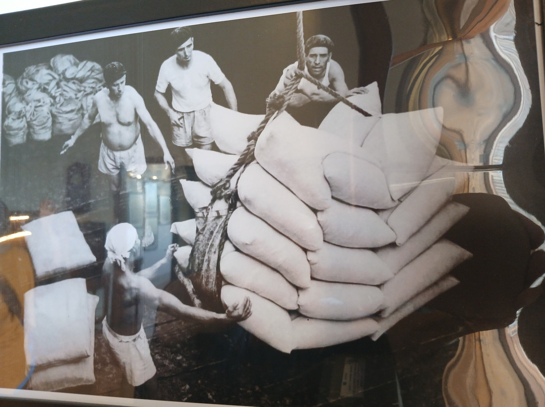 Museu Do Porto De Santos-桑托斯必去景点