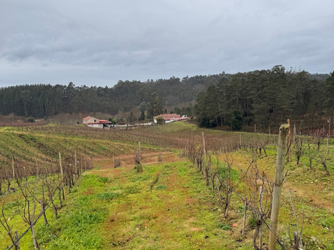 Boas Quintas-Mortagua必去景点