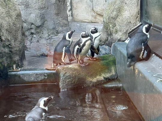 Aquazoo Loebbecke Museum-杜塞尔多夫必去景点