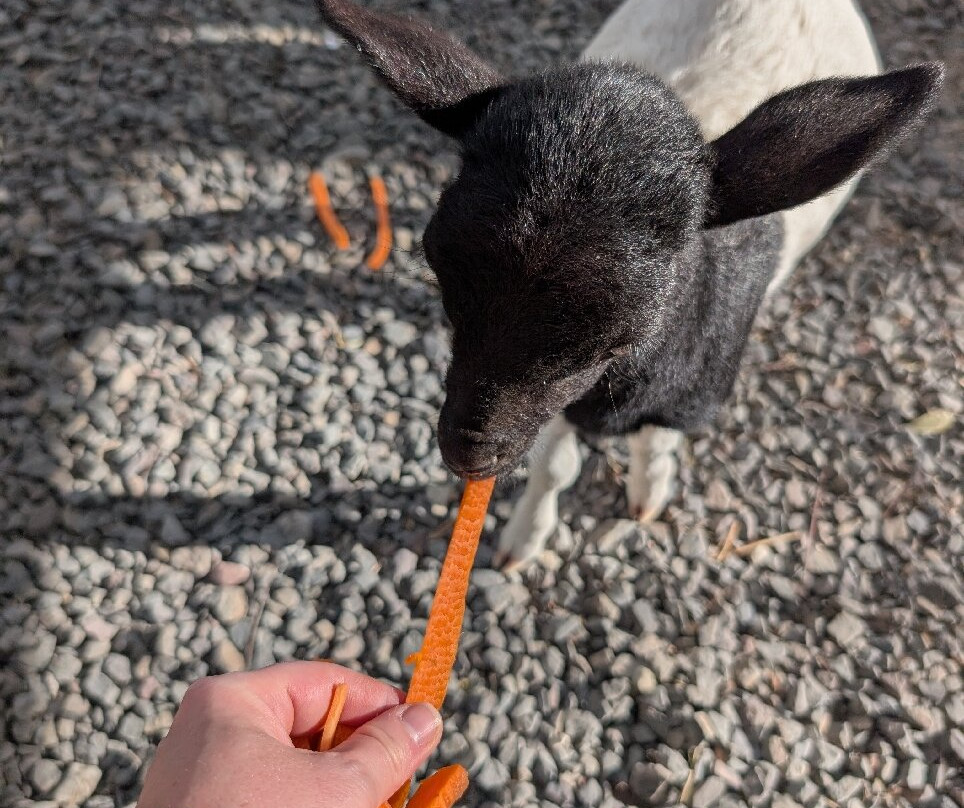 Ponderosa Adventure Park-利比里亚必去景点