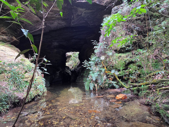 Del Rey Climb-德尔雷伊必去景点