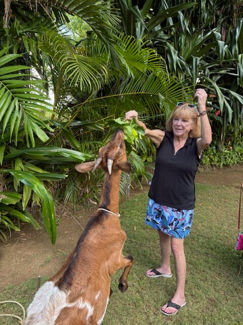 Sunset At The Palms-浴室