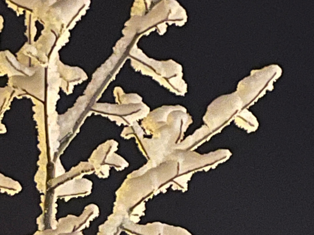 Lapland Travel-Akaslompolo必去景点