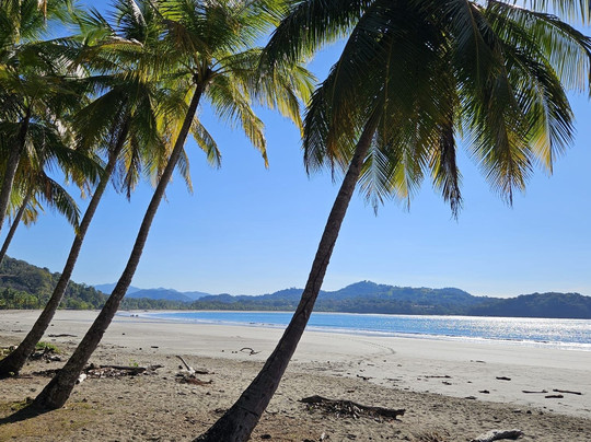 Lodge Las Estrellas de Samara主图