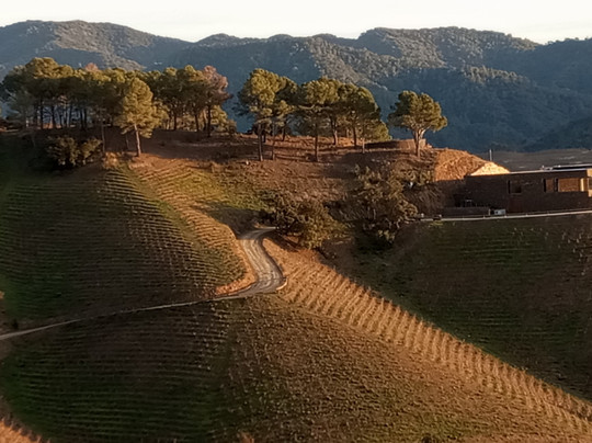 Mas Doix-Poboleda必去景点
