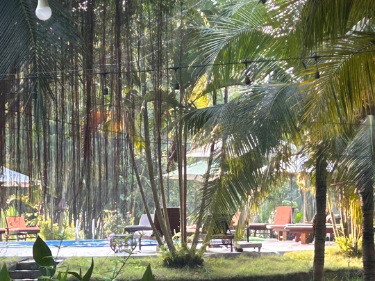 Mango Home Riverside主图