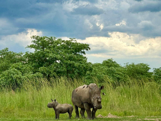 Mahlatini Luxury Travel-Rondebosch必去景点